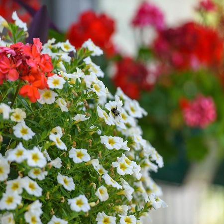 Apartments Beba - Peaceful Location Трогір Екстер'єр фото
